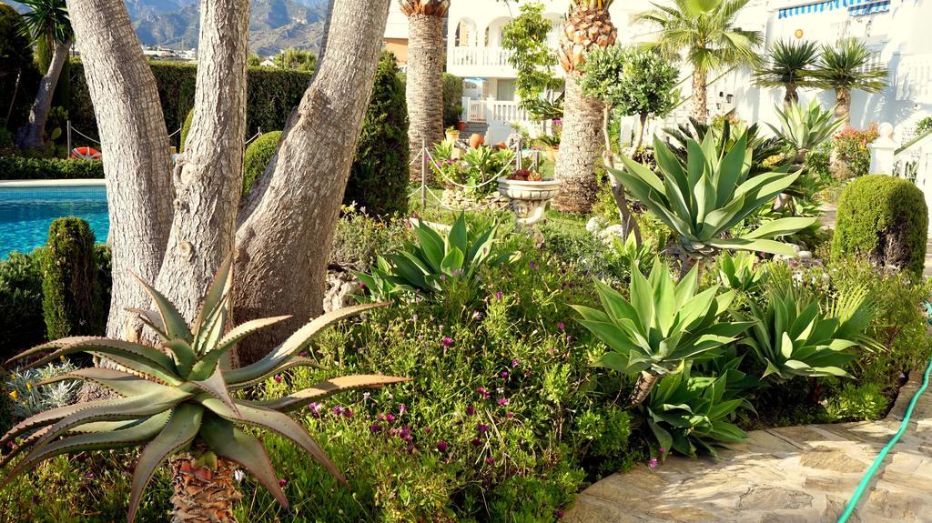 Apartamentos Starnerja En Stella Maris Szoba fotó